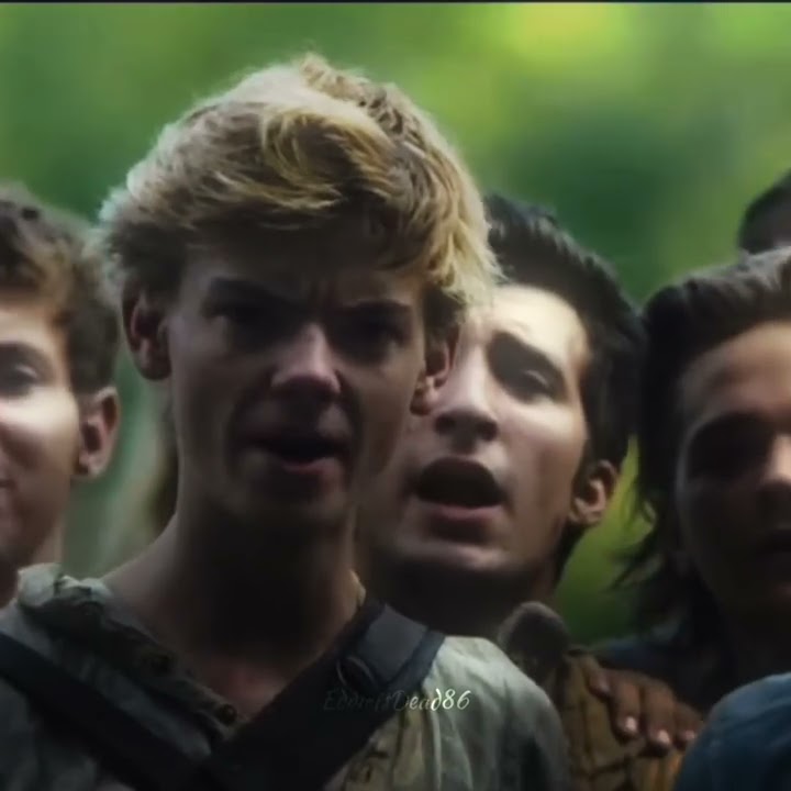 Don’t blame him | #mazerunner #thomasmazerunner #dylanobrien