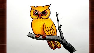 How To Draw Owl For Beginners || Owl Drawing Colour || Bird Drawing || Creativity Studio..