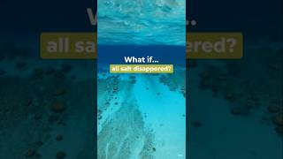 ​What If All Ocean Salt Disappeared? 🌊🧂 #outofbox #science
