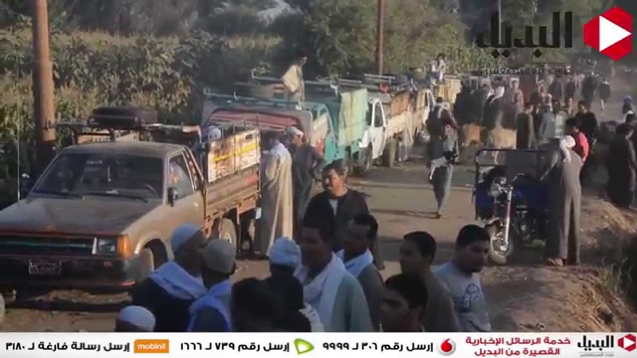 إقبال كثيف علي سوق المواشي بالمنيا