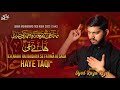 29 Zilqad Noha 2022 Fatima Ki Sada Haye Taqi Shahadat Imam Taqi Noha 2022 Syed Raza Rizvi 