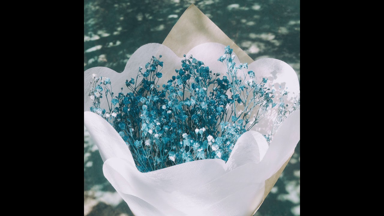 Cultivating Presence - a resource for Inner Relationship Focusing