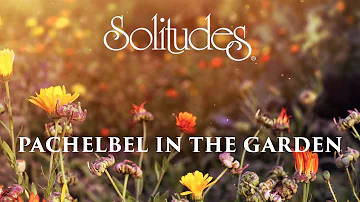 Dan Gibson’s Solitudes - Serenade | Pachelbel in the Garden