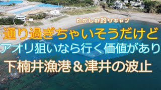 中紀 下楠井漁港&津井の波止   ヤエン師の聖地！アオリイカを狙うなら一度は行ってみたい！