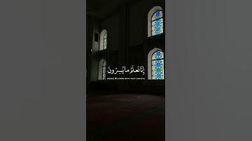 ﴿ فَلا يَحْزُنْكَ قَوْلُهُمْ ﴾|القارئ محمد هشام|سورة يس