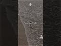اغنيه عصام صاصا حياتي مت واقفه عليك تيك توك تصميمات