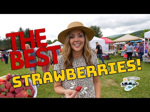 A fun day at the STRAWBERRY FESTIVAL in Unicoi TN