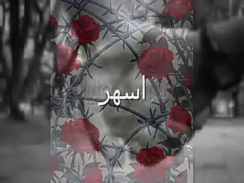 حالات واتس اب شيماء الشايب حبيب عينيا حبيب احلامى