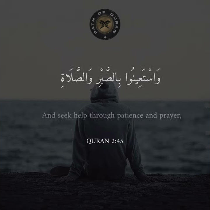 SURAH BAQARAH MISHARY RASHED ALAFASY quran english translation with visualisation Pathofquraan