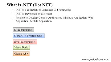 What is .NET (Hindi)