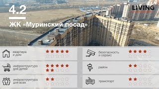 видео Тайный покупатель: возможности