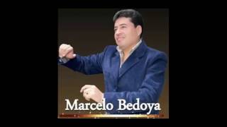 Marcelo Bedoya - Arbolito de Hojas Secas chords