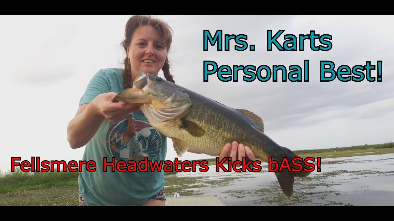 Headwaters Lake Fellsmere Florida Large Mouth Bass Fishing YouTube