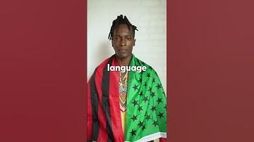 Thumbnail of the man who knows the most languages