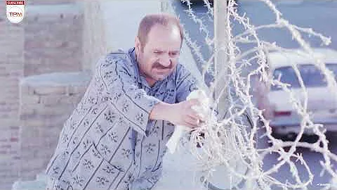 توقیفی ترین فیلم فارسی / فیلم کمدی "مارمولک" با بازی پرویز پرستویی همراه با زیرنویس انگلیسی