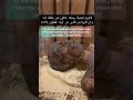 Pharaoh Mummy In Egypt Firaun Mummy In Museum Subscribe For More Islamicquotes Islamicquotes