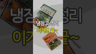 신선함 유지, 냉장고 정리도 한번에!
