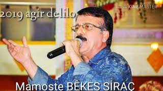 BEKES SİRAC 2019