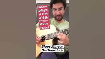 Django Reinhardt - Tonic Diminished Lick (Solo Analysis)
