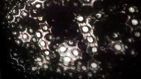 first clip of bill wesley and the array orchestra