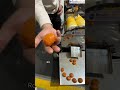 Automatic Laddu Making Machine इतने गोल-गोल एक जैसे लड्डू? 😳 #shorts