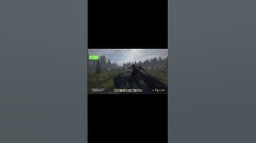 DayZ Rearmed MDR 308