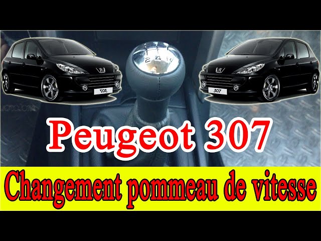 Peugeot 307 - Changement pommeau de vitesse استبدال مقبض او اليد