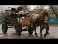 СКАНДАЛ! ИЗ-ЗА ТАКОГО ВЫЕЗДА ЖЕНА УШЛА ИЗ ДОМА! КОПАЮ МЕТАЛЛ НА ПАСЕКЕ!