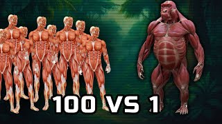 видео: 100 ЧЕЛОВЕК ПРОТИВ ГОРИЛЛЫ 💥 Кто победит в этой БИТВЕ?! картинка: 100 ЧЕЛОВЕК ПРОТИВ ГОРИЛЛЫ 💥 Кто победит в этой БИТВЕ?!