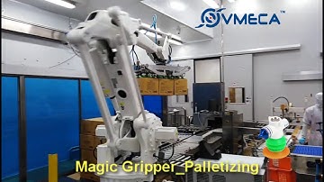 Various Carton Box Robot Palletizing with VMECA Magic Grippers