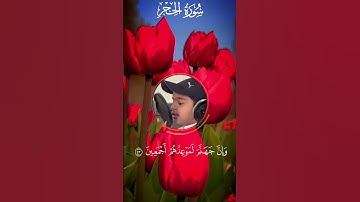 إستمع إلى القرآن الكريم بصوت عثمان مشعل الحداد 