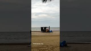 Suara Ombakangindan Burung Di Pantai