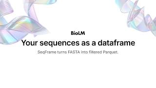 SeqFrame: sequence based dataframes in BioLM