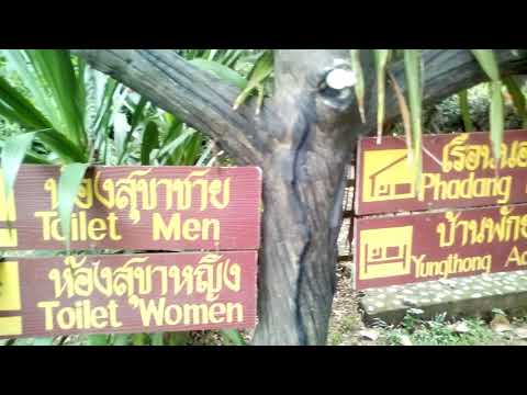 ผลสลากกินแบ่งรัฐบาล วันที่ 1 พย. 2567