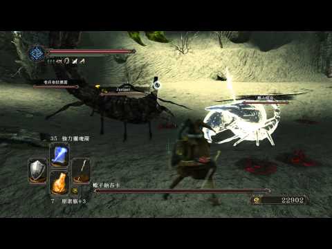 黑暗靈魂2-DX11 圍毆最簡單 蠍子納吉卡