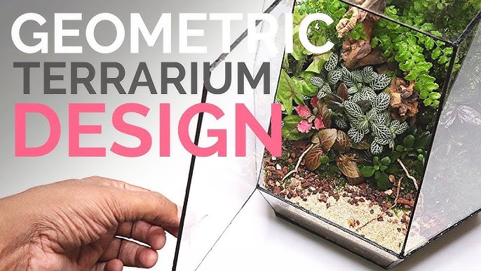 Geometric Terrarium Designs: Transform Your Space with Style