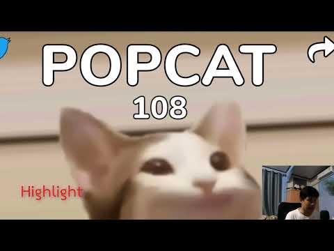 สอนเขียนบอทคลิ๊ก POPCAT ด้วย Python Selenium