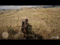 Red Dead redemption 2 - Hunting West of Blackwater