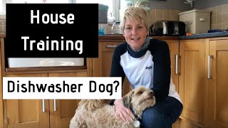 HOW TO... keep your dog out of the Dishwasher!