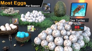 Number of Eggs Lays by Animal | Birds | Insects || Animal egg Production comparison