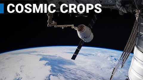 Improving seeds with cosmic radiation