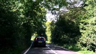 Driving through a tree tunnel in Somerset