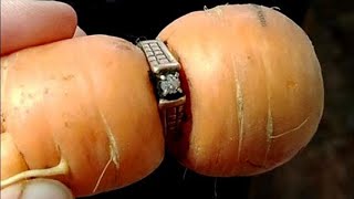 كندية تعثر على خاتمها الماسي الضائع منذ 13 عام!!!