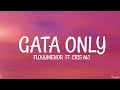 FloyyMenor - GATA ONLY ft. Cris MJ (Letra/Lyrics)