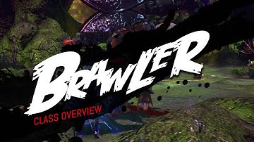 TERA - Brawler Class Overview