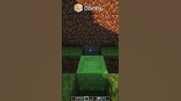 Slime Block Launcher in Minecraft!✈️