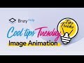 Image Hover Animations | Cool Tips Tuesday!