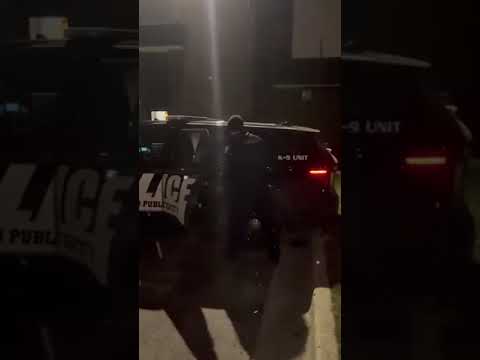 KDPS K 9 Returns To Work After Being Stabbed