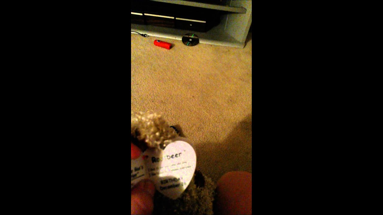 New Beanie Boo, Root Beer.