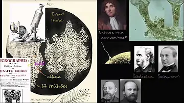 Como o cientista Robert Hooke descobriu a célula?